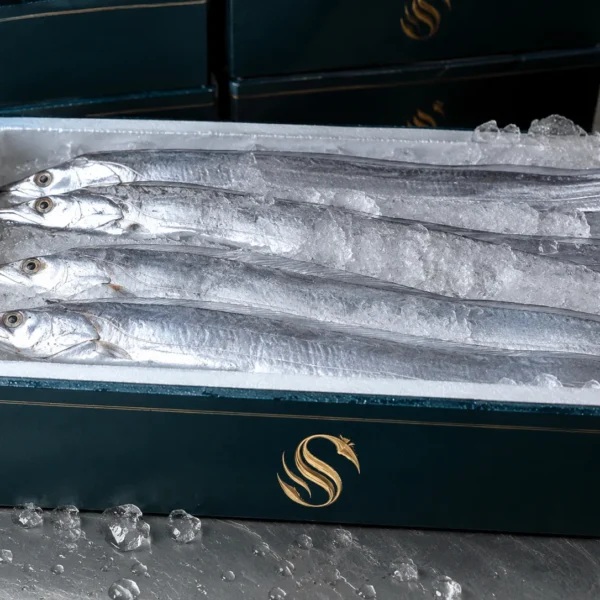 Frozen Cutlassfish