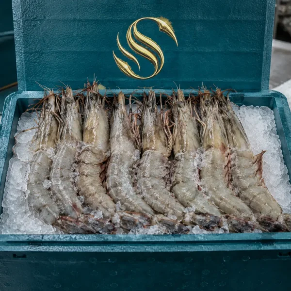 Head-On Frozen Vannamei Shrimp HOSO