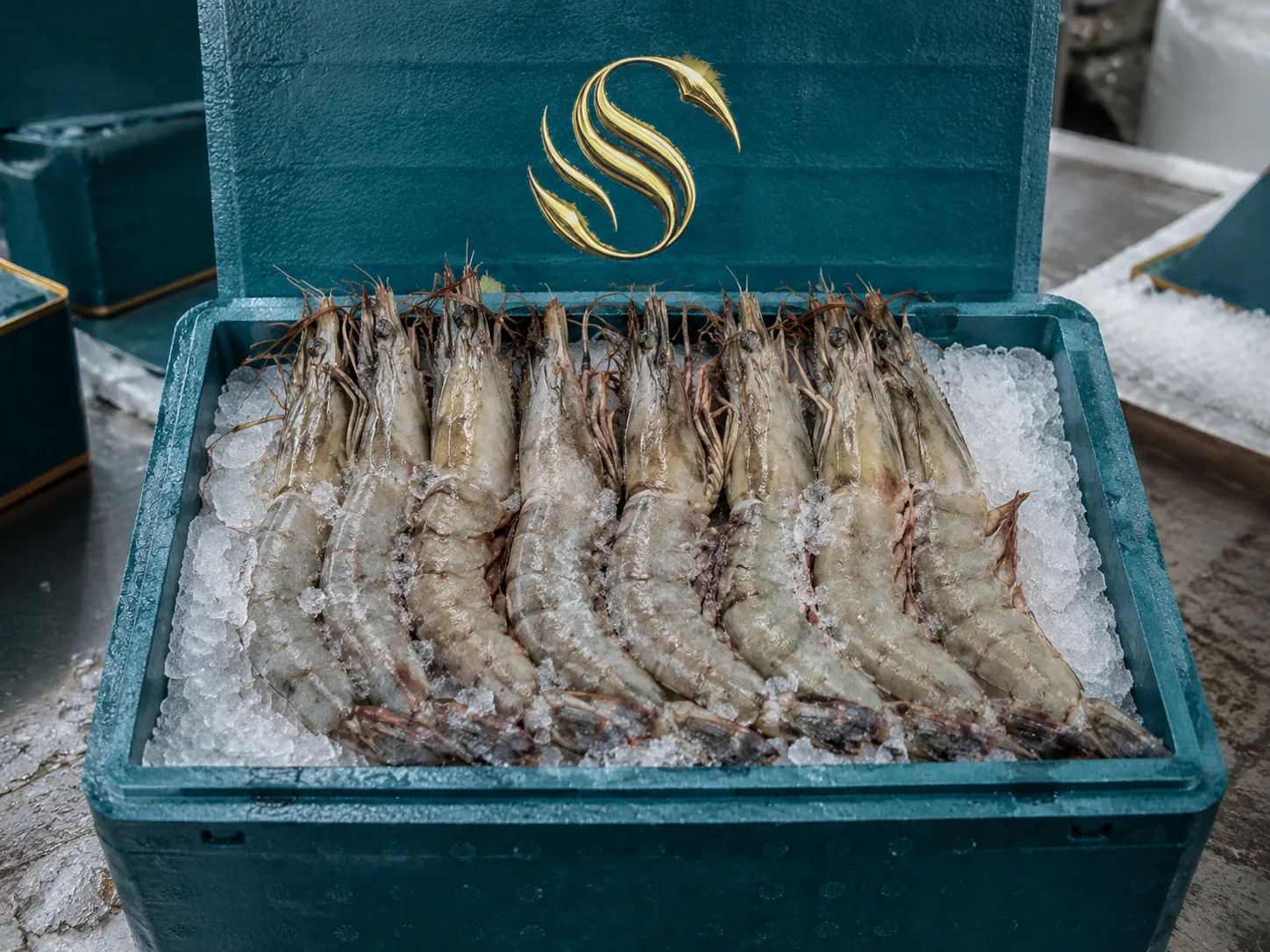 Head-On Frozen Vannamei Shrimp HOSO