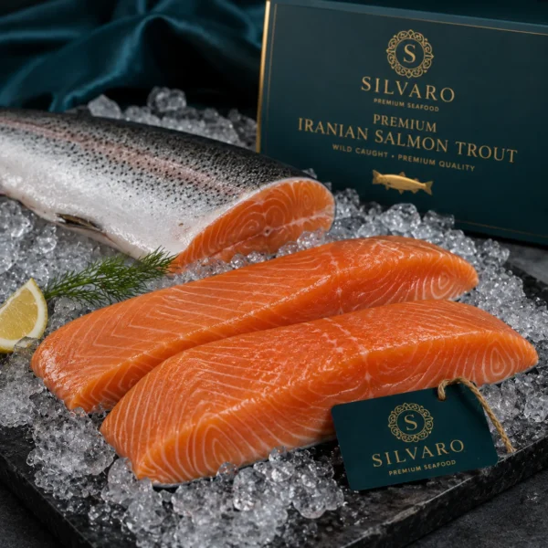 Premium Iranian Salmon Trout frozen IQF for export by Silvaro